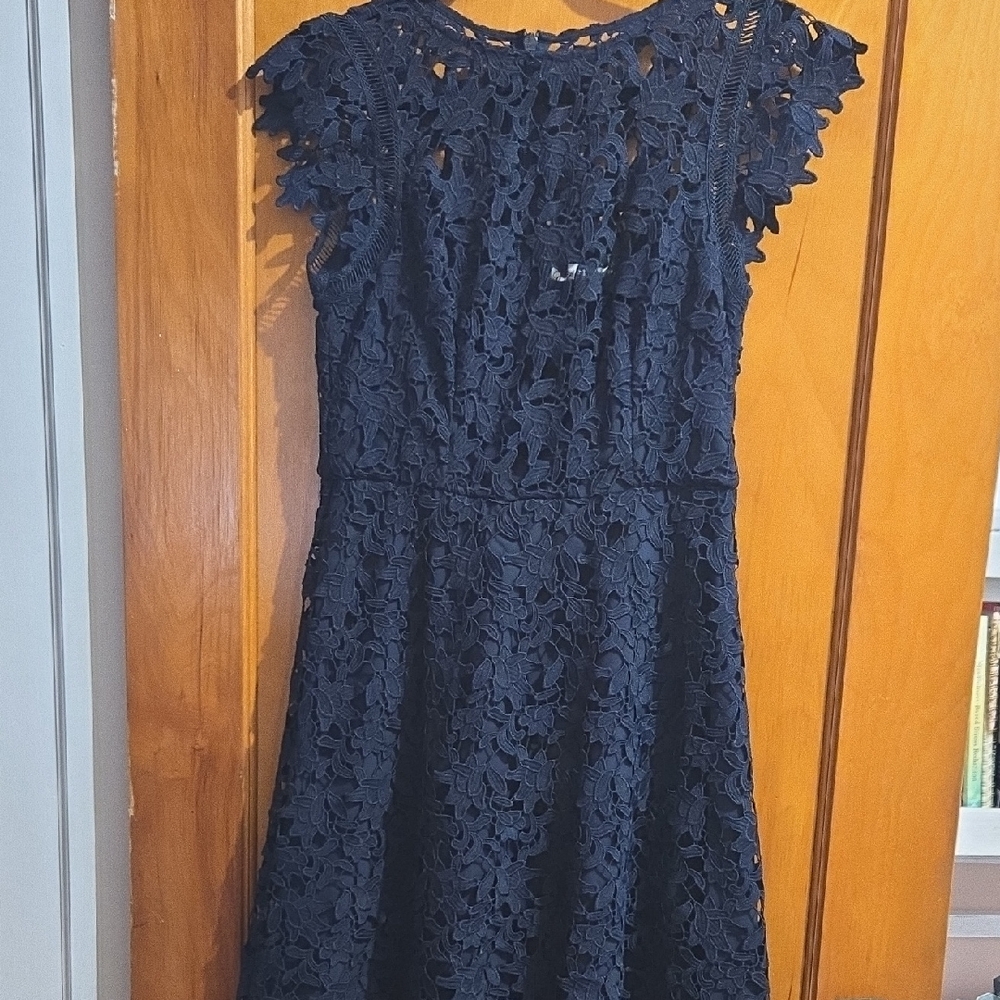 Eliza J Navy Lace Mini Dress